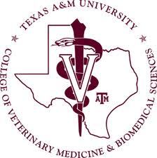 Texas A & M University logo